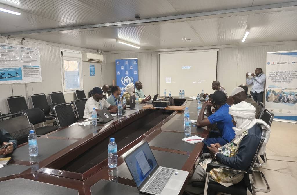 Réunion Mensuelle de Coordination du Cluster Protection – Tombouctou